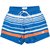 Montego Bay Stripe Ultra Light Swim Shorts