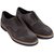 Graise Suede Derby Shoe