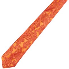 Limited Edition Verona Paisley Silk Tie-accessories-FA2 Online Outlet Store